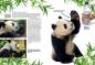 Preview: Entdecke die Pandas